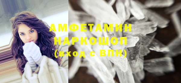 гашик Алексин
