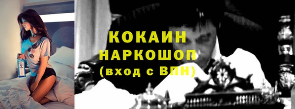 гашик Алексин