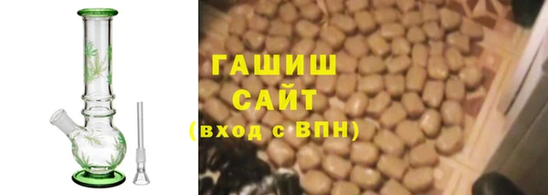 гашик Алексин