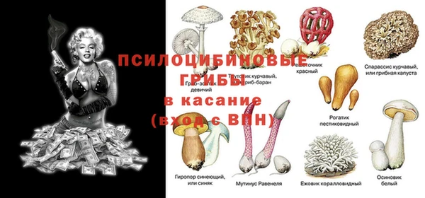 бутират Алзамай