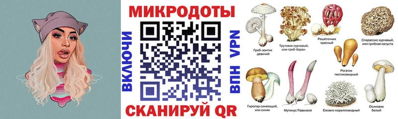 гидра маркетплейс  Балаково  Галлюциногенные грибы Psilocybe 